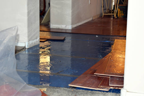 Professional Sewage Cleanup technician working in Upland, CA